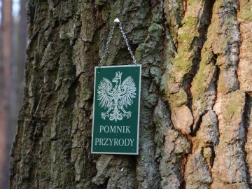 Uroczystość z okazji 100-lecia odzyskania niepodległości oraz zakończenia Wielkiej Wojny - relacja, K.Pira