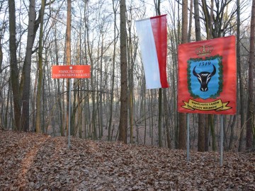 Uroczystość z okazji 100-lecia odzyskania niepodległości oraz zakończenia Wielkiej Wojny - relacja, K.Pira