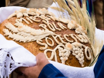 Święto Plonów w Przedborzu – Relacja z Dożynek Gminno-Parafialnych 2025, 