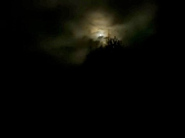 Noc sów w Spalskim Parku Krajobrazowym, 