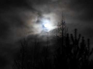 Noc sów w Spalskim Parku Krajobrazowym, 