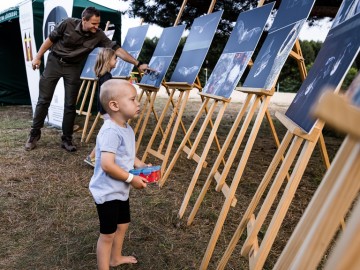 Noc nietoperzy w Przedborskim Parku Krajobrazowym 2025, 