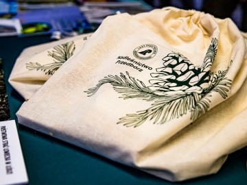 Noc nietoperzy w Przedborskim Parku Krajobrazowym 2025, 