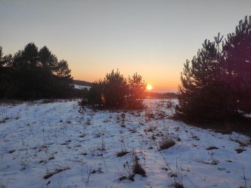 Spotkanie przewodnickie w Przedborskim Parku Krajobrazowym., 