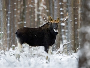 Zimowe obrazy w PPK 2026., 