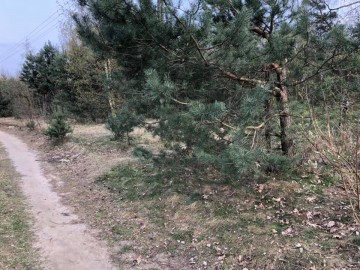 Akcja Śmiec OUT - czyli jak mieszkańcy Gminy Nowosolna wzięli sprawy sprzątania Parku Krajobrazowego Wzniesień Łódzkich w swoje ręce, źródło: Gmina Nowosolna