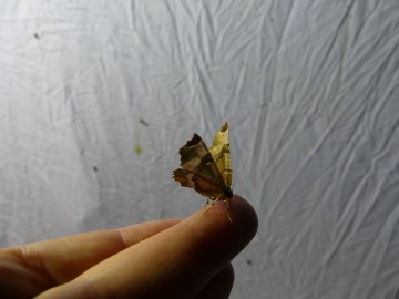 Świecenia Nocne 2019, fot. M. Majda