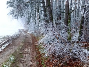 48 lat Załęczańskiego Parku Krajobrazowego, <p>Fot. M. Ignaczak</p>