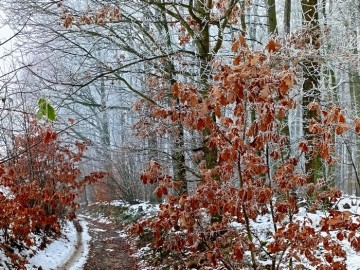 48 lat Załęczańskiego Parku Krajobrazowego, <p>Fot. M. Ignaczak</p>