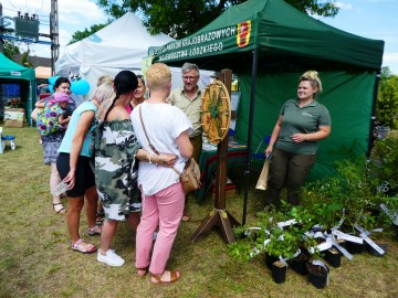 Piknik w Szadku, 