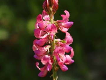 Rajd Rowerem nad Wartą – wiosna 2025, 