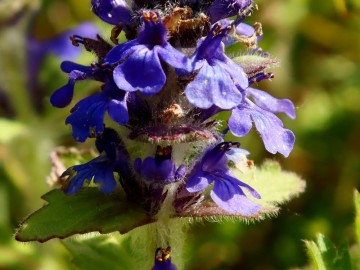 Rajd Rowerem nad Wartą – wiosna 2025, 