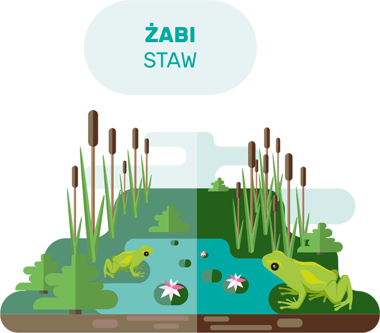 infografika zpkwl